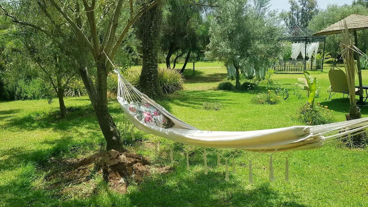 Ksar Salha Hotel Douar Draa Guest house